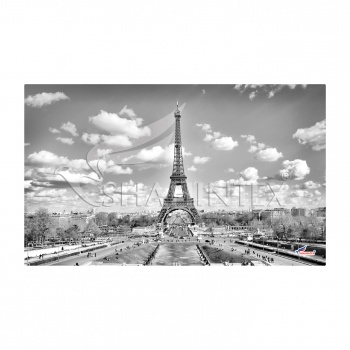 SHAHINTEX SPRING PHOTOPRINT SH P130 universal mat, 45*75